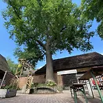 Unter Der 250 Jaehrigen Eiche - Lehde Zentrum Guest house Kaupen
