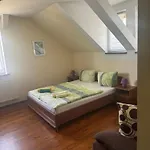 Unter Der 250 Jaehrigen Eiche - Lehde Zentrum Guest house