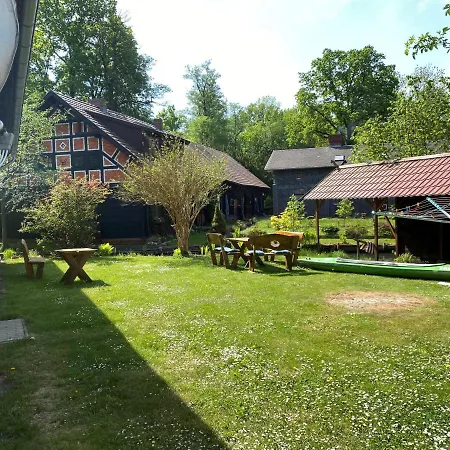 Unter Der 250 Jaehrigen Eiche - Lehde Zentrum