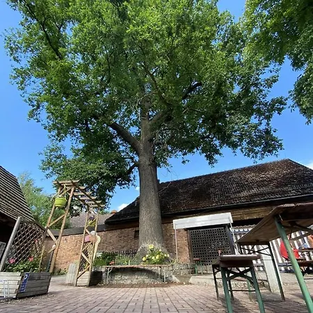 Unter Der 250 Jaehrigen Eiche - Lehde Zentrum Konukevi Kaupen