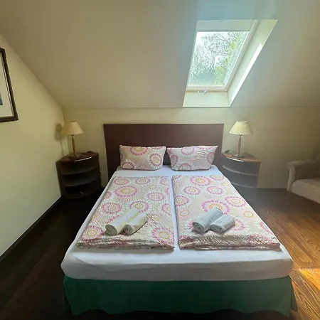 Unter Der 250 Jaehrigen Eiche - Lehde Zentrum 3*