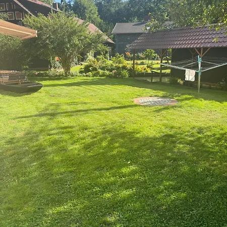 Unter Der 250 Jaehrigen Eiche - Lehde Zentrum