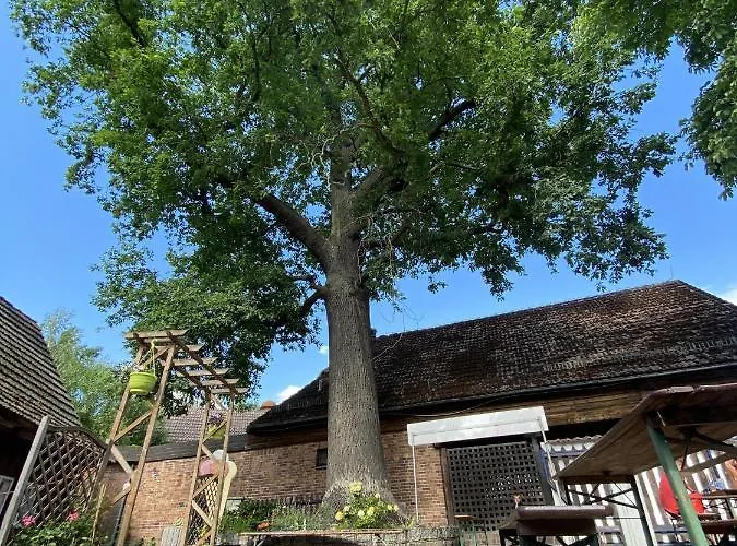 Unter Der 250 Jaehrigen Eiche - Lehde Zentrum ゲストハウス Kaupen